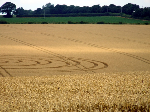 Spellow Hills Long barrow, Lincolnshire crop circle, aerial photo 5