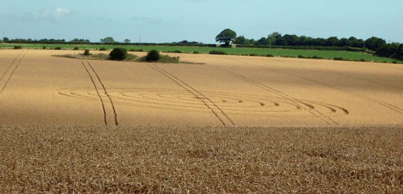 Spellow Hills Long barrow, Lincolnshire crop circle, aerial photo 2