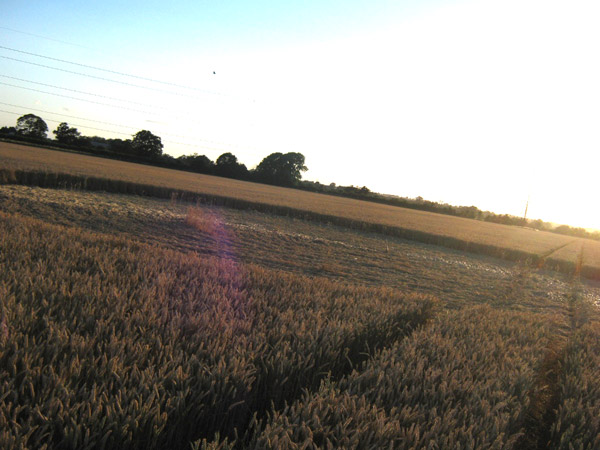 Standals Farm, Buckingham crop circle, aerial photo 6