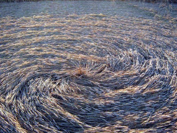 Standals Farm, Buckingham crop circle, aerial photo 7