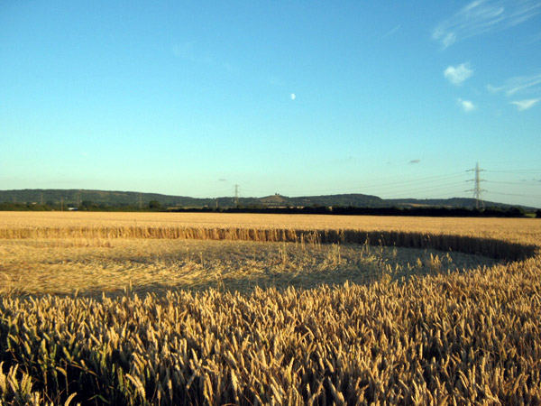 Standals Farm, Buckingham crop circle, aerial photo 3