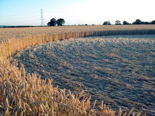 Standals Farm, Buckingham crop circle, aerial photo 5