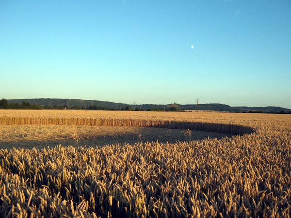 Standals Farm, Buckingham crop circle, aerial photo 4