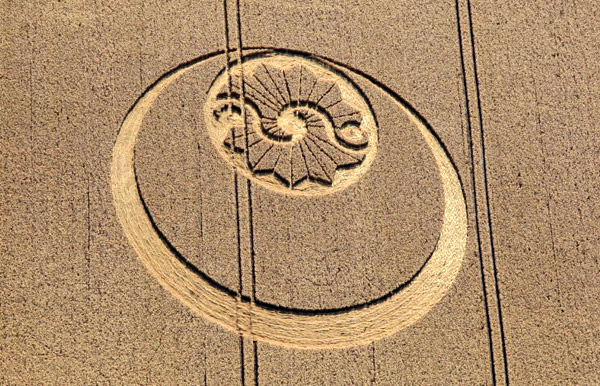 Stanton Bridge, Wiltshire crop circle, aerial photo 28