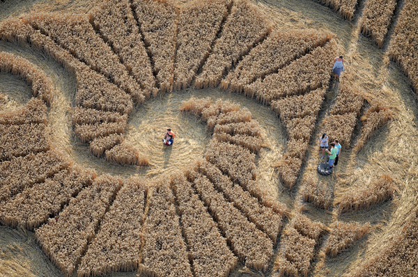 Stanton Bridge, Wiltshire crop circle, aerial photo 11