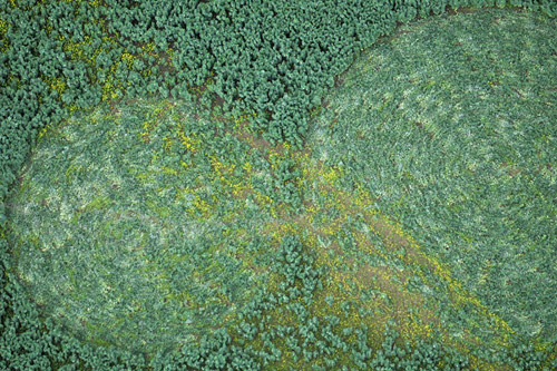 Stoney Littleton Long Barrow, Somerset crop circle, aerial photo 5