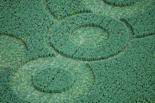 Stoney Littleton Long Barrow, Somerset crop circle, aerial photo 7