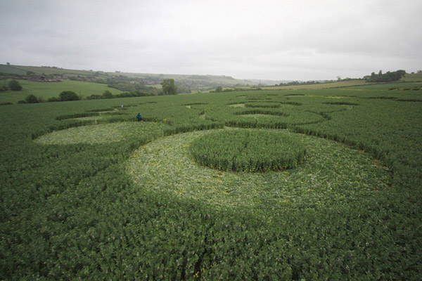 Stoney Littleton Long Barrow, Somerset crop circle, aerial photo 66