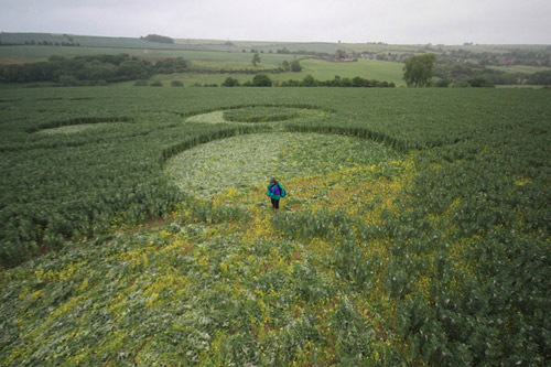 Stoney Littleton Long Barrow, Somerset crop circle, aerial photo 67
