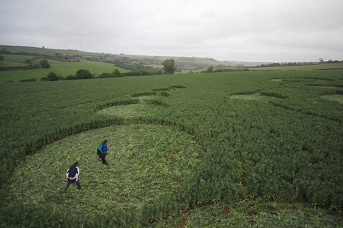 Stoney Littleton Long Barrow, Somerset crop circle, aerial photo 68