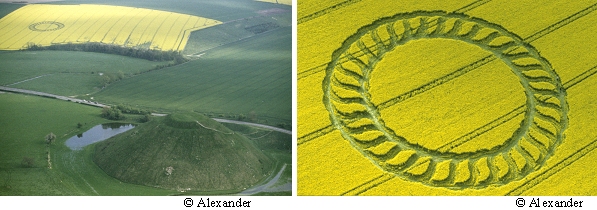 Stoney Littleton Long Barrow, Somerset crop circle, aerial photo 31