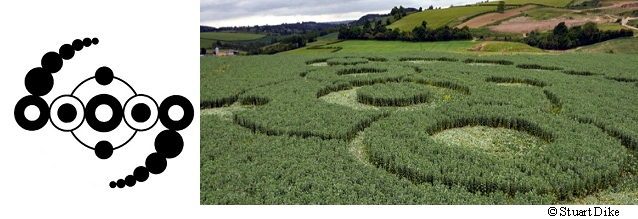 Stoney Littleton Long Barrow, Somerset crop circle, aerial photo 21