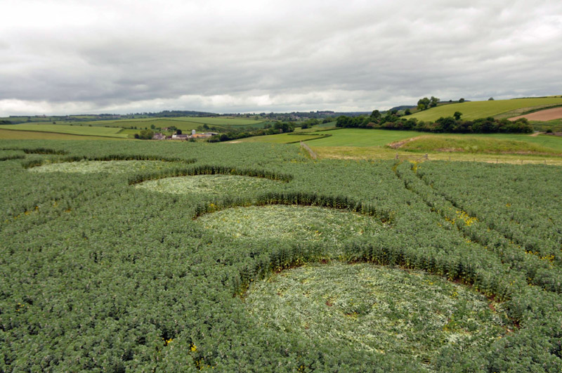 Stoney Littleton Long Barrow, Somerset crop circle, aerial photo 58