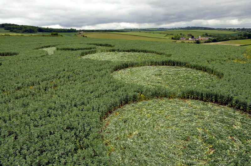 Stoney Littleton Long Barrow, Somerset crop circle, aerial photo 60