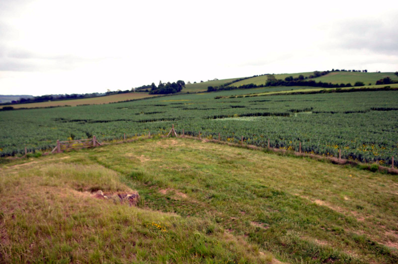 Stoney Littleton Long Barrow, Somerset crop circle, aerial photo 63