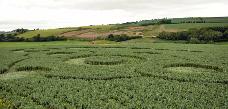 Stoney Littleton Long Barrow, Somerset crop circle, aerial photo 61