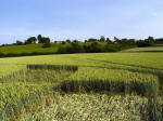 Ufton, Warwickshire crop circle, aerial photo 32