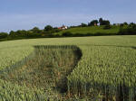 Ufton, Warwickshire crop circle, aerial photo 34