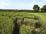 Ufton, Warwickshire crop circle, aerial photo 35