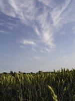 Ufton, Warwickshire crop circle, aerial photo 56