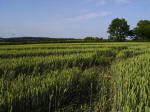 Ufton, Warwickshire crop circle, aerial photo 45