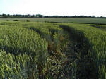 Ufton, Warwickshire crop circle, aerial photo 44