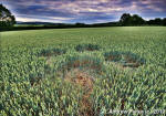 Ufton, Warwickshire crop circle, aerial photo 67