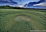 Ufton, Warwickshire crop circle, aerial photo 63