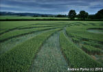 Ufton, Warwickshire crop circle, aerial photo 61