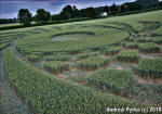Ufton, Warwickshire crop circle, aerial photo 69