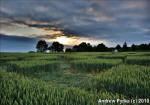 Ufton, Warwickshire crop circle, aerial photo 65