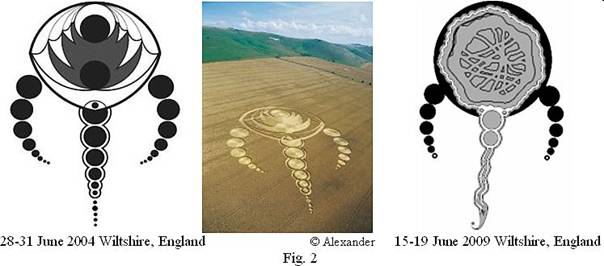 Walbury Hill, Berkshire crop circle, aerial photo 23