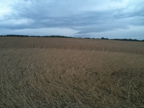 Wentworth Castle, Nr Barnsley crop circle, aerial photo 10