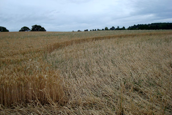 Wentworth Castle, Nr Barnsley crop circle, aerial photo 14
