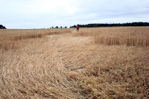 Wentworth Castle, Nr Barnsley crop circle, aerial photo 12