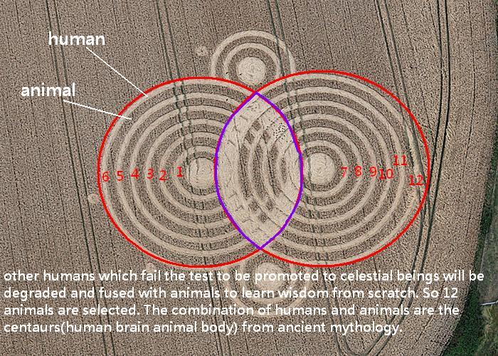 Woolaston Grange, Gloucestershire crop circle, aerial photo 19