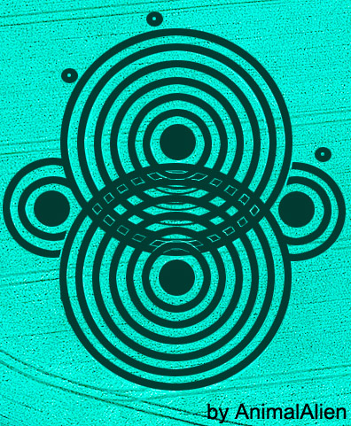 Woolaston Grange, Gloucestershire crop circle, aerial photo 52