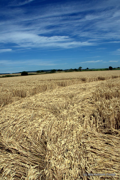 Woolaston Grange, Gloucestershire crop circle, aerial photo 62