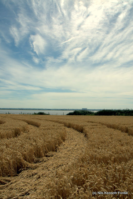 Woolaston Grange, Gloucestershire crop circle, aerial photo 64