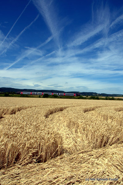 Woolaston Grange, Gloucestershire crop circle, aerial photo 63