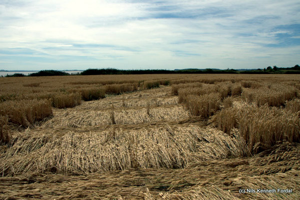 Woolaston Grange, Gloucestershire crop circle, aerial photo 58