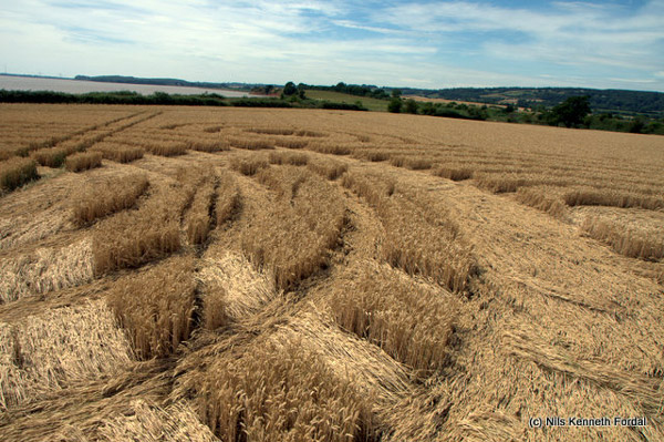 Woolaston Grange, Gloucestershire crop circle, aerial photo 60