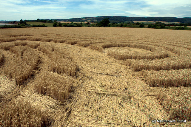 Woolaston Grange, Gloucestershire crop circle, aerial photo 61