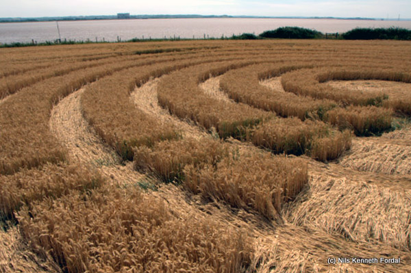 Woolaston Grange, Gloucestershire crop circle, aerial photo 56
