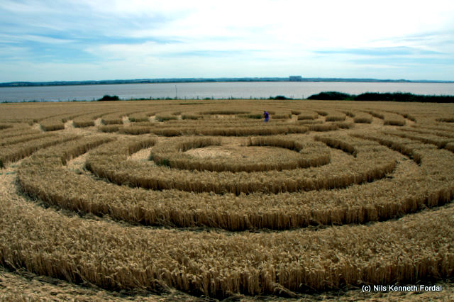 Woolaston Grange, Gloucestershire crop circle, aerial photo 55