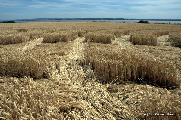 Woolaston Grange, Gloucestershire crop circle, aerial photo 57