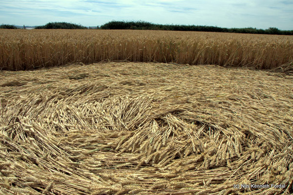 Woolaston Grange, Gloucestershire crop circle, aerial photo 59
