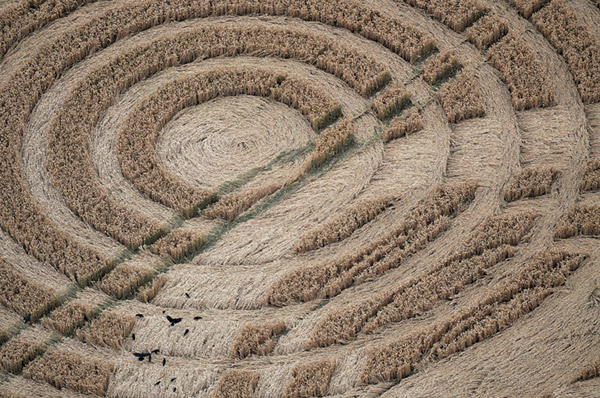 Woolaston Grange, Gloucestershire crop circle, aerial photo 54