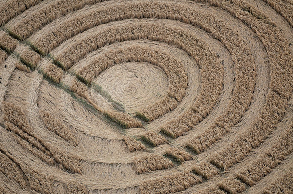 Woolaston Grange, Gloucestershire crop circle, aerial photo 5