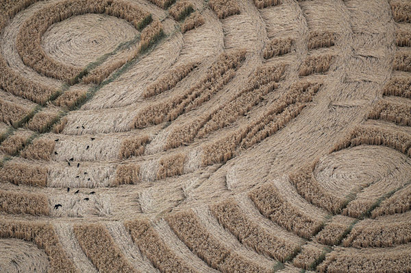 Woolaston Grange, Gloucestershire crop circle, aerial photo 6